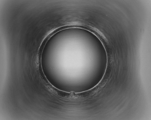 X0000116591364200912171545