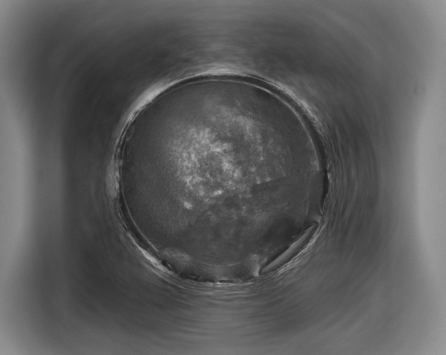 X0000116591367200912171545