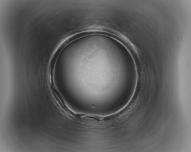 X0000116591368200912171545