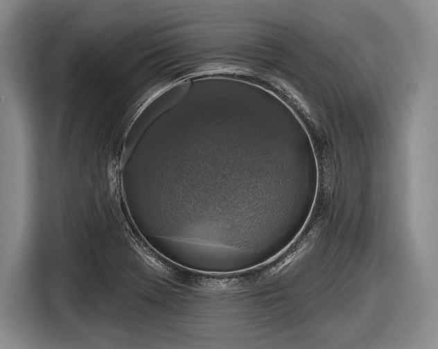 X0000116591369200912171545