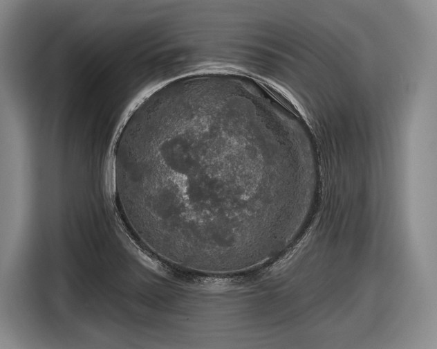 X0000116591371200912171545