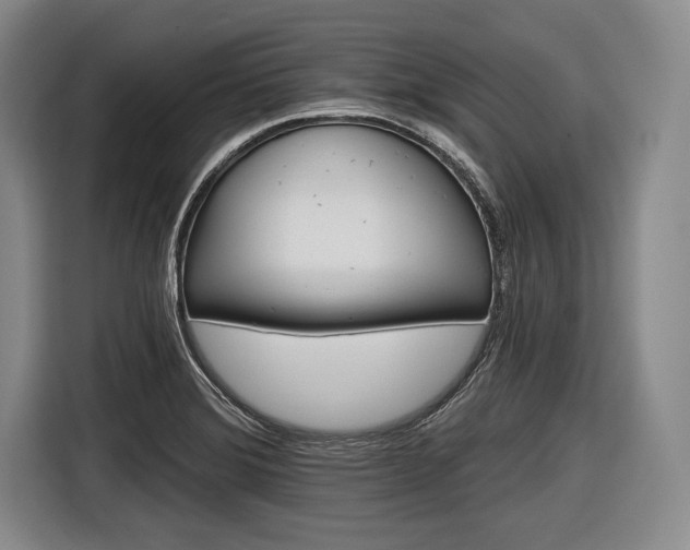 X0000116591372200912171545