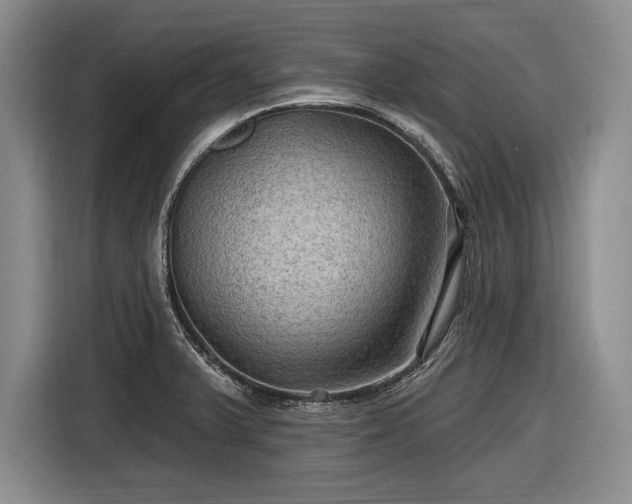 X0000116591375200912171545