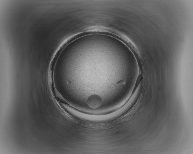 X0000116591376200912171545