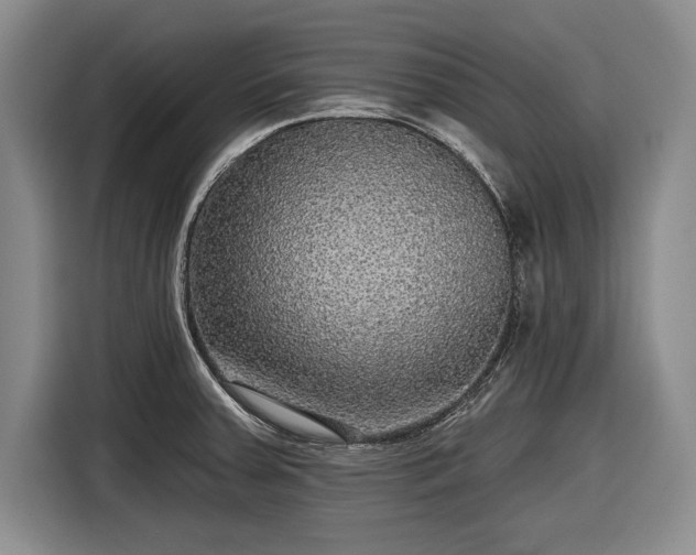 X0000116591379200912171545