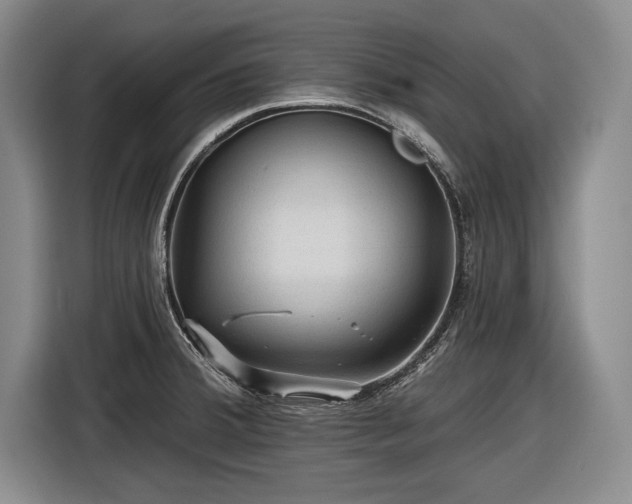 X0000116591380200912171545