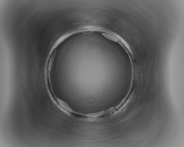 X0000116591381200912171545