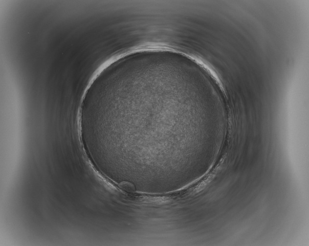 X0000116591382200912171545