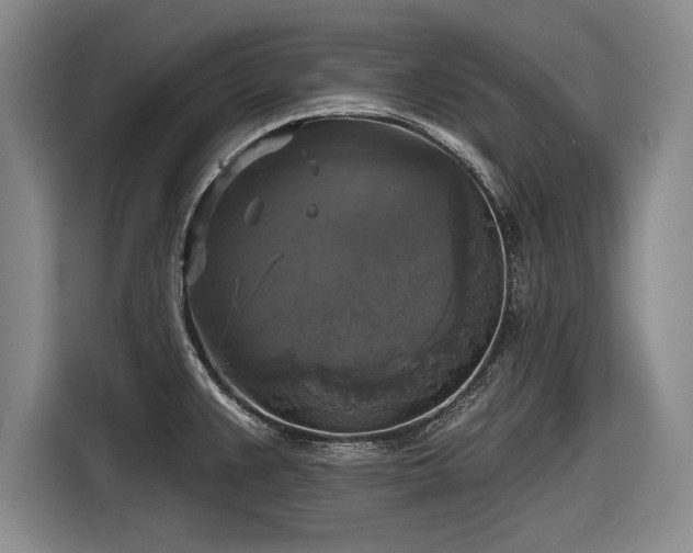 X0000116591383200912171544