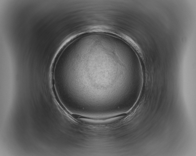 X0000116591384200912171544