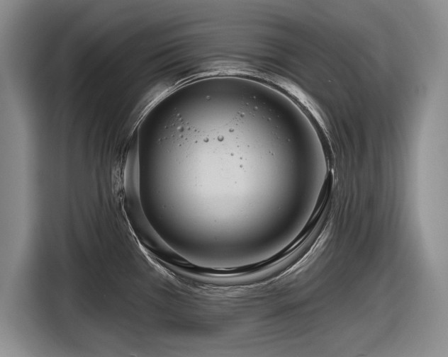 X0000116591385200912171544