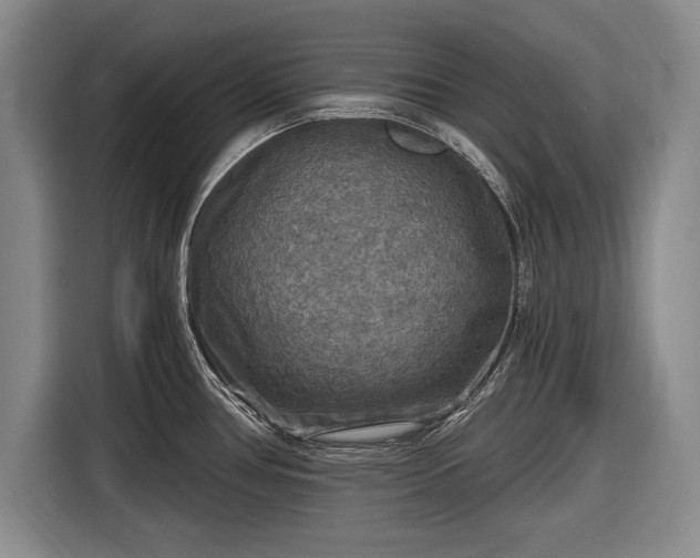 X0000116591386200912171544