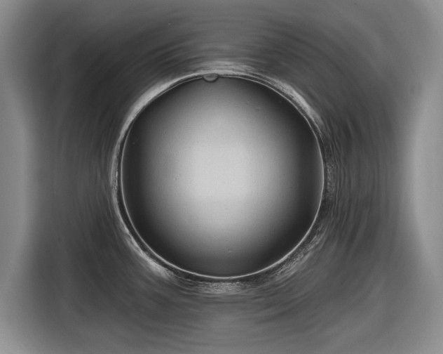 X0000116591387200912171544