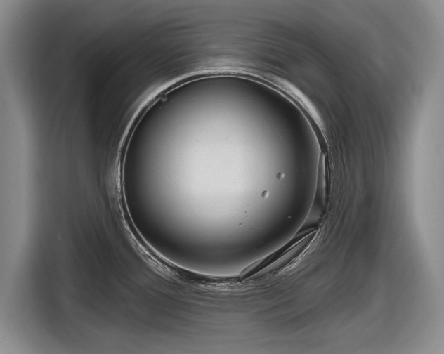 X0000116591388200912171544