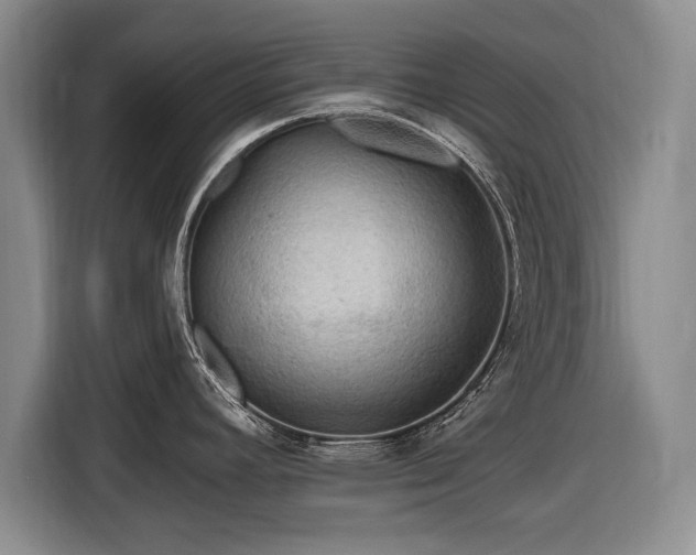 X0000116591392200912171544