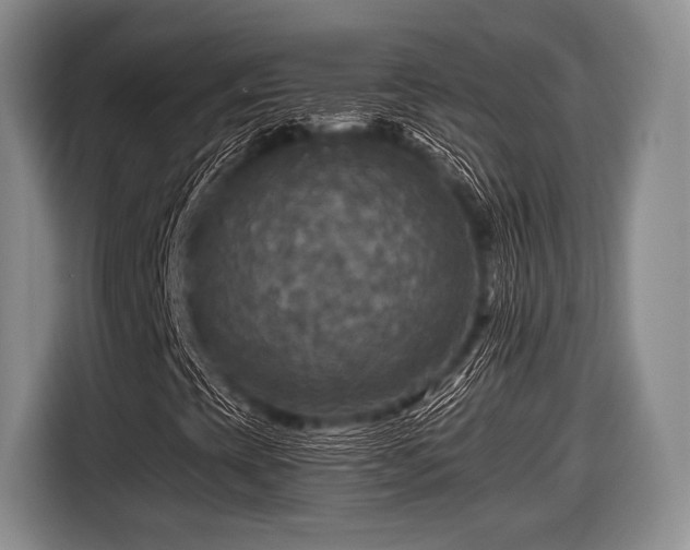 X0000116591393200912171544