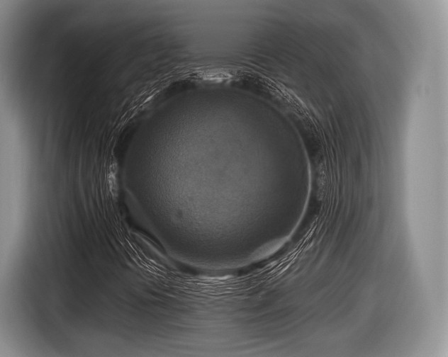 X0000116591394200912171544