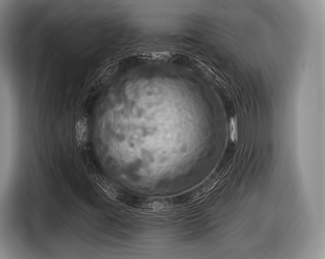 X0000116591395200912171544