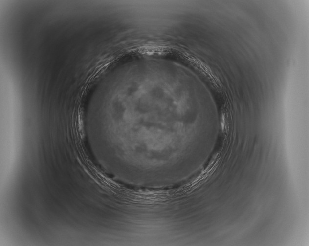 X0000116591396200912171544