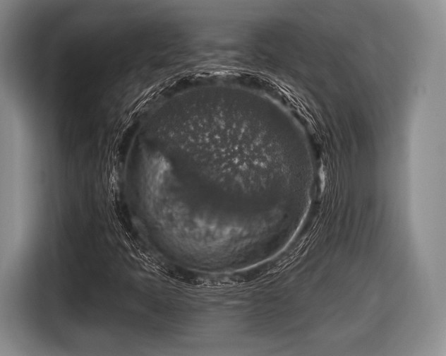 X0000116591397200912171544