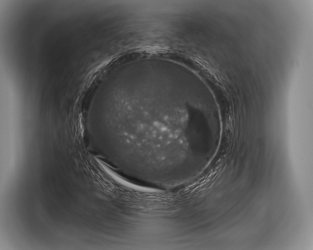 X0000116591398200912171544