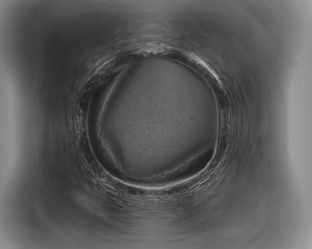 X0000116591399200912171544