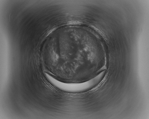 X0000116591401200912171544