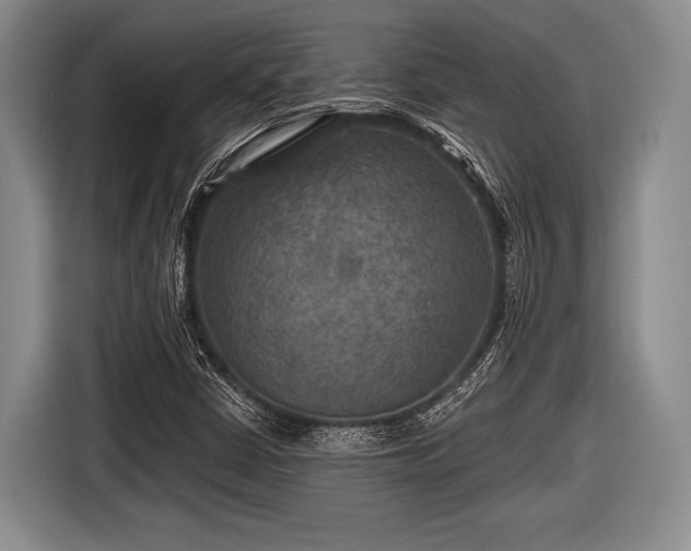 X0000116591402200912171544