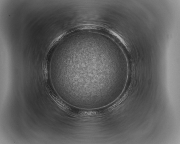 X0000116591403200912171544