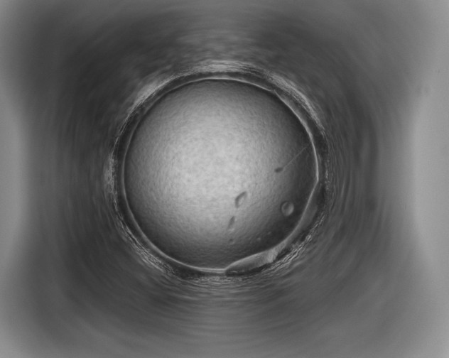 X0000116591404200912171544