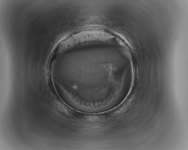 X0000116591405200912171544