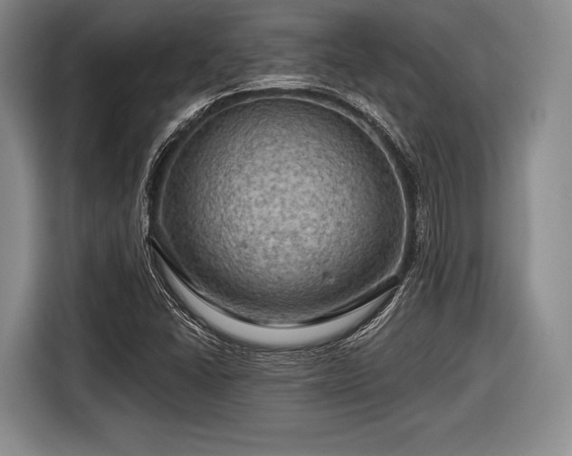 X0000116591406200912171544