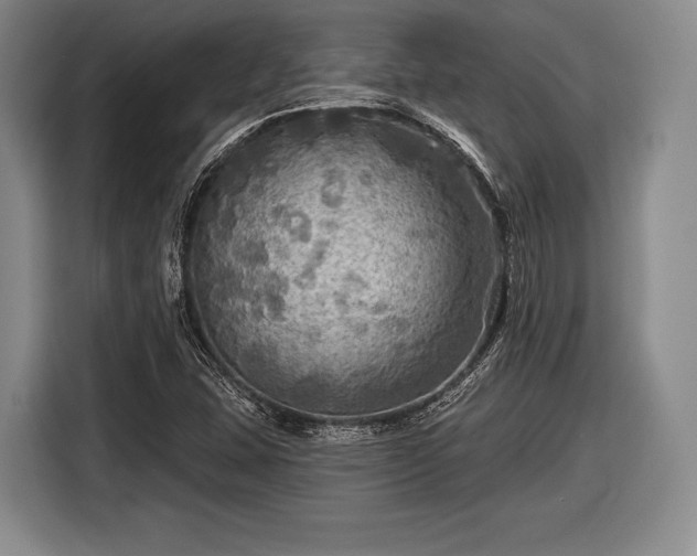 X0000116591407200912171544