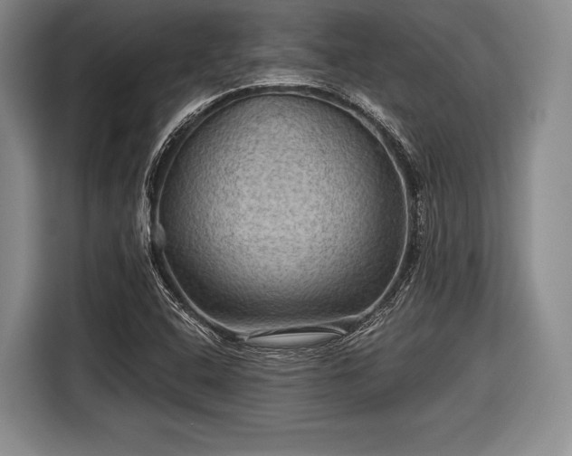 X0000116591408200912171544