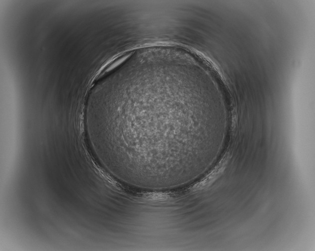 X0000116591409200912171544