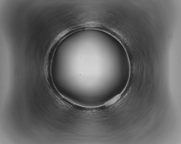 X0000116591410200912171544