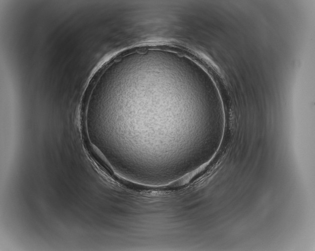 X0000116591412200912171544