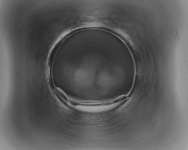 X0000116591414200912171544