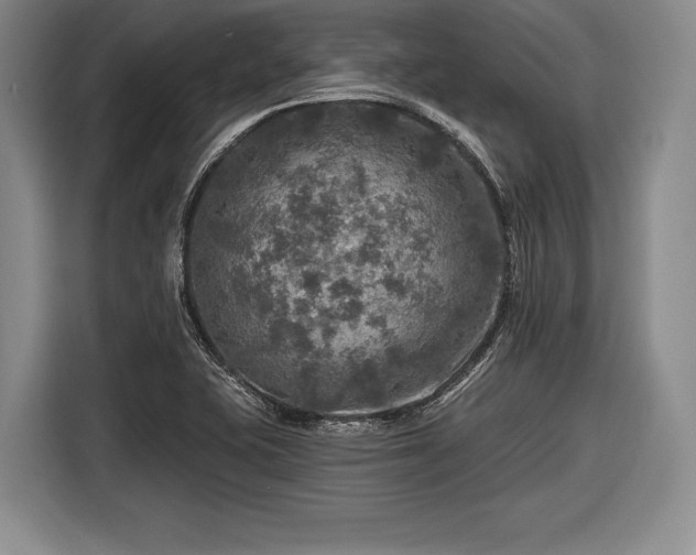 X0000116591415200912171544