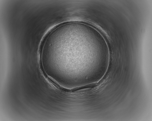 X0000116591416200912171544