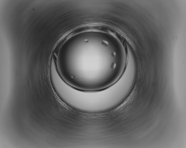 X0000116591417200912171544