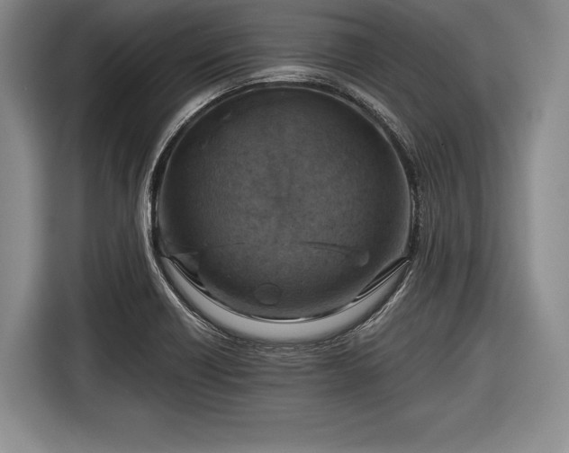 X0000116591418200912171544