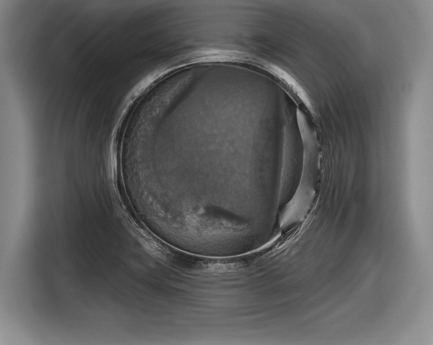 X0000116591419200912171544