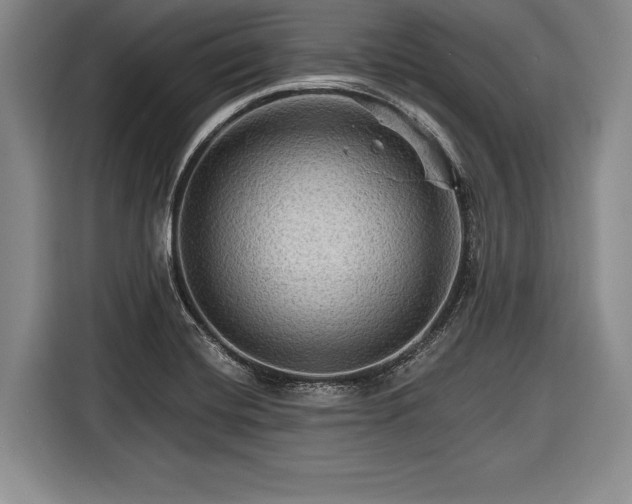 X0000116591420200912171544