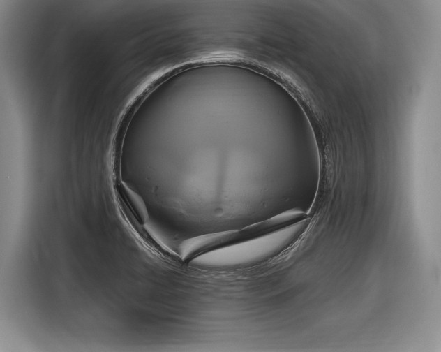 X0000116591422200912171544