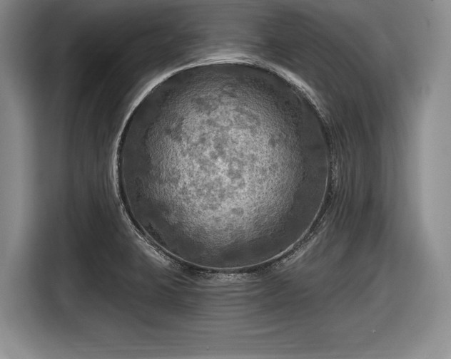 X0000116591423200912171544