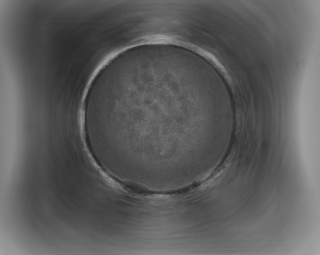 X0000116591424200912171544