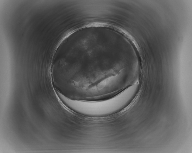 X0000116591425200912171544