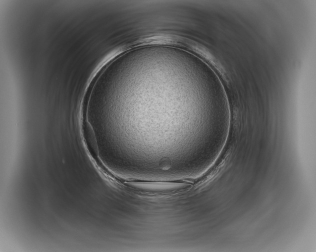 X0000116591426200912171544