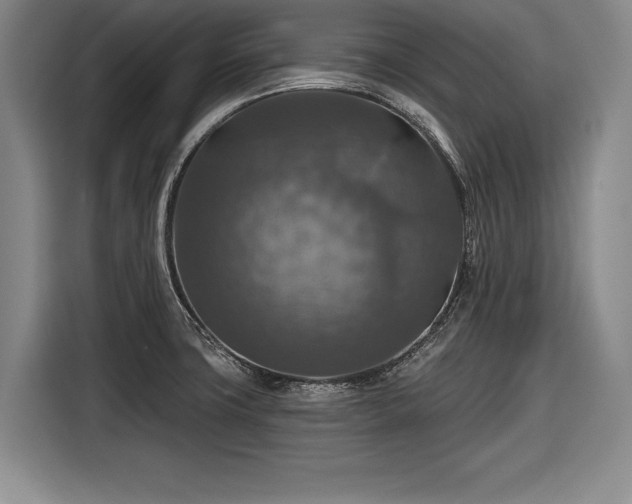 X0000116591427200912171544